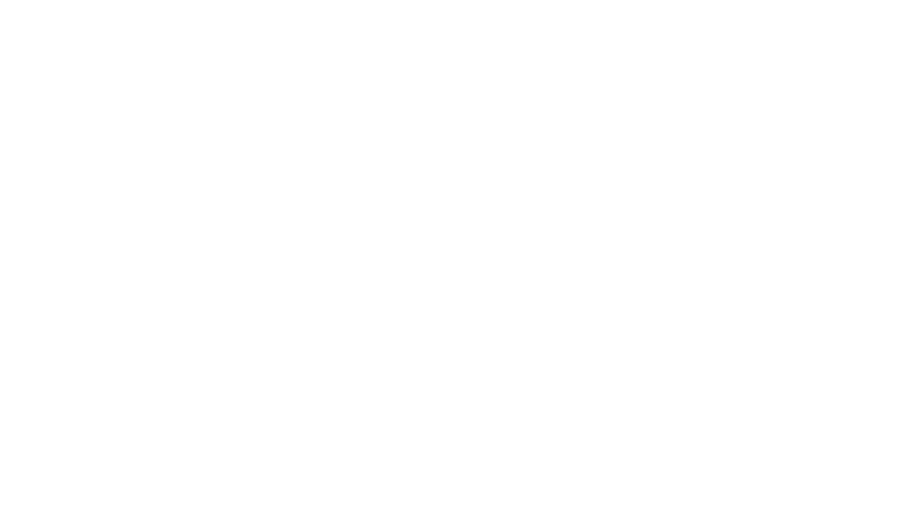 TLR Full Logo White
