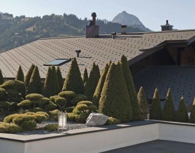 Chalet Wispile